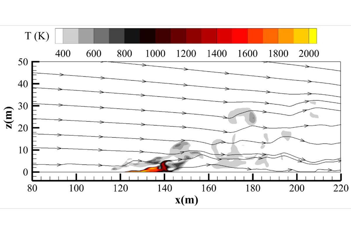Temperature field and streamlines