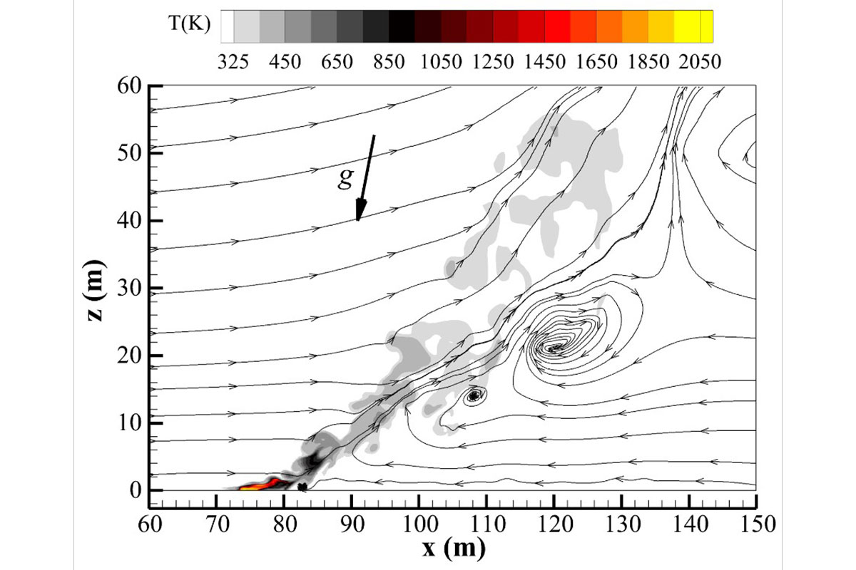 Temperature field and streamlines